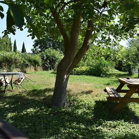 Mobil-Home Sur Terrain Bucolique Hyeres Ngoại thất bức ảnh
